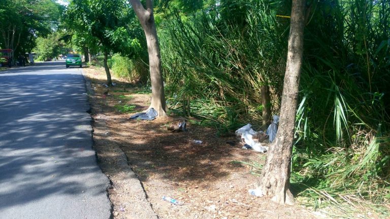 ฆ่าหั่นศพ ฆ่าหั่นศพ