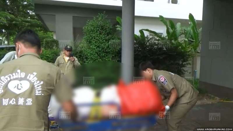 ฆ่าแม่ผัว ฆ่าแม่ผัว