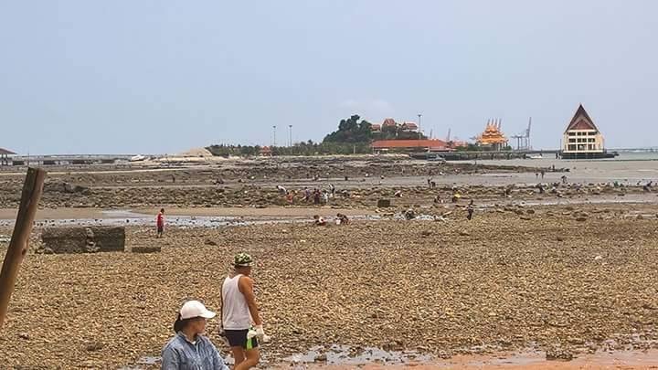 ทะเลแหวก ทะเลแหวก