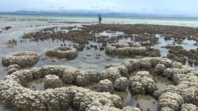 ทะเลแหวก ทะเลแหวก