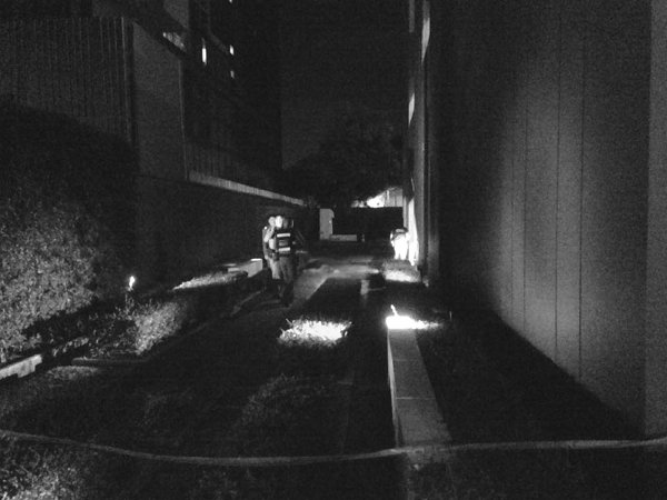 ฆ่าตัวตาย ฆ่าตัวตาย