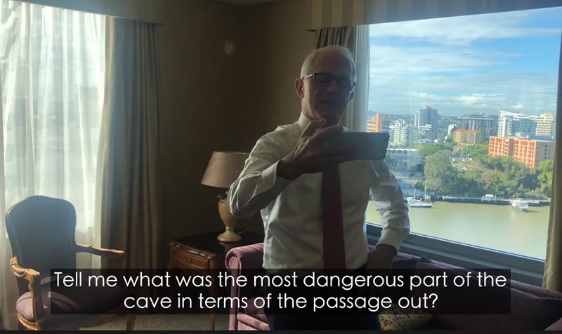 หมูป่า หมูป่า