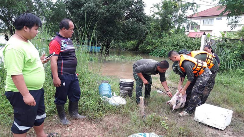 ช่วยหมูบ้าน ช่วยหมูบ้าน