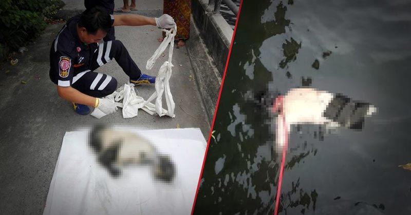 ศพลอยน้ำ ศพลอยน้ำ