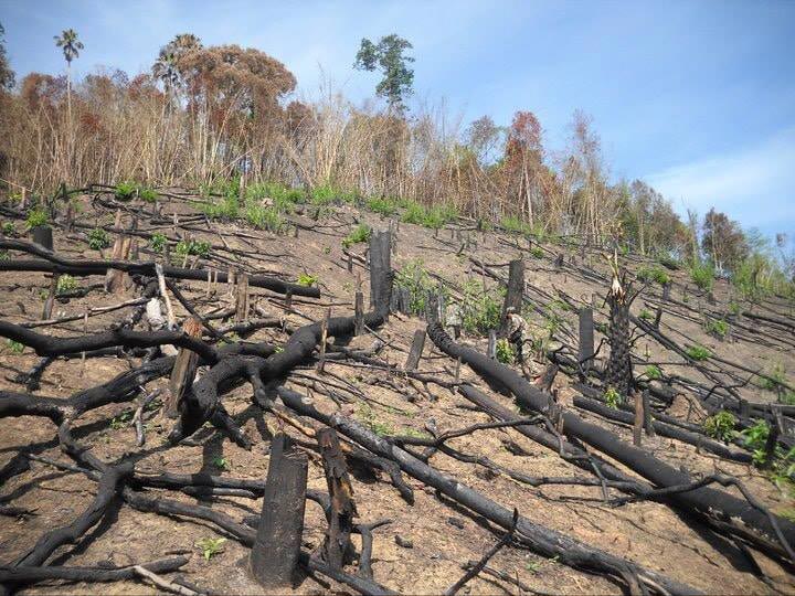 เขื่อนแก่งกระจาน เขื่อนแก่งกระจาน