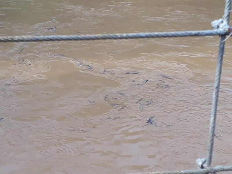 เขื่อนแก่งกระจาน เขื่อนแก่งกระจาน