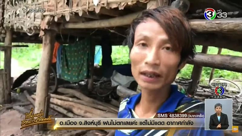 กินเครื่องในหมา กินเครื่องในหมา