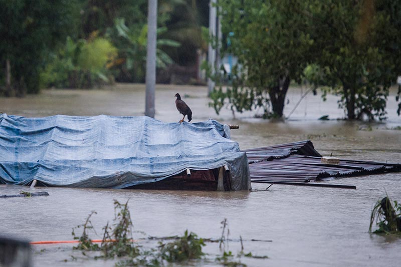 เขื่อนพม่าแตก เขื่อนพม่าแตก