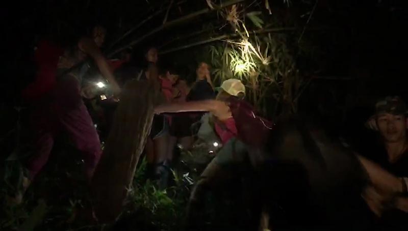 หลงป่า หลงป่า