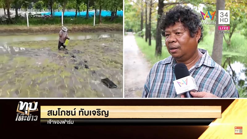 เกษตรพอเพียง เกษตรพอเพียง