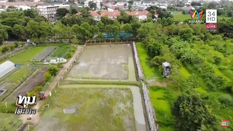 เกษตรพอเพียง เกษตรพอเพียง