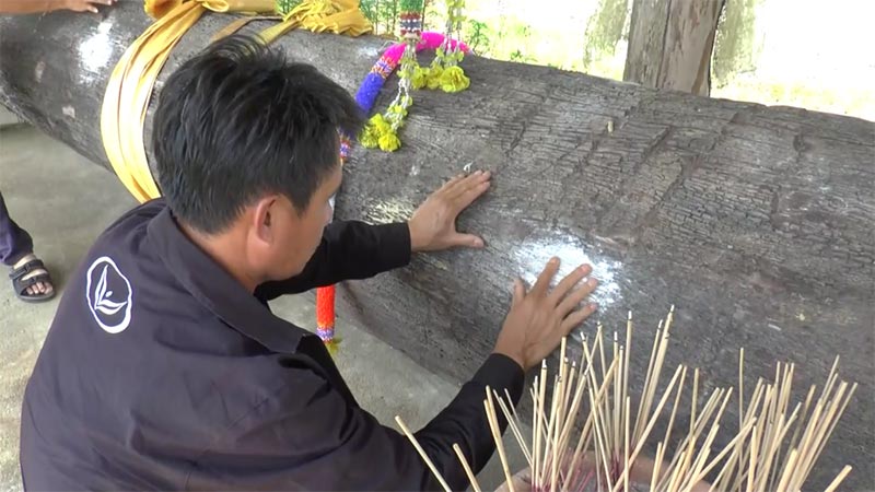 ตะเคียนยักษ์ ตะเคียนยักษ์