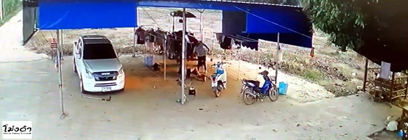 ฆ่ายกครัว ฆ่ายกครัว