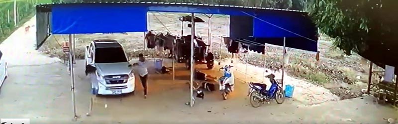 ฆ่ายกครัว ฆ่ายกครัว