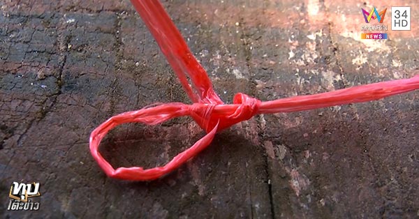 ผูกคอกลางวัด ผูกคอกลางวัด