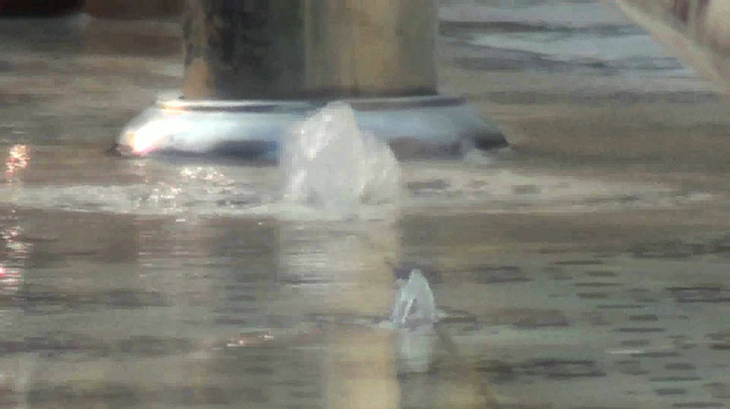 เรื่องแปลก เรื่องแปลก