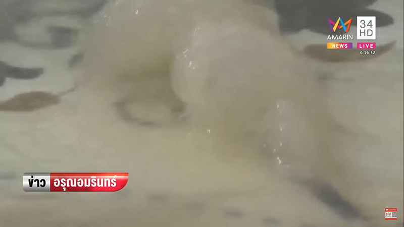 เรื่องแปลก เรื่องแปลก