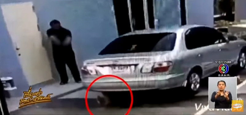 ยิงหมา ยิงหมา