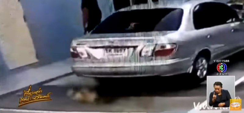 ยิงหมา ยิงหมา