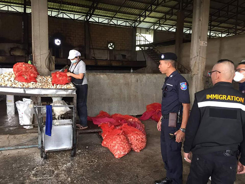 กระเทียมเจียวมันสำปะหลัง กระเทียมเจียวมันสำปะหลัง