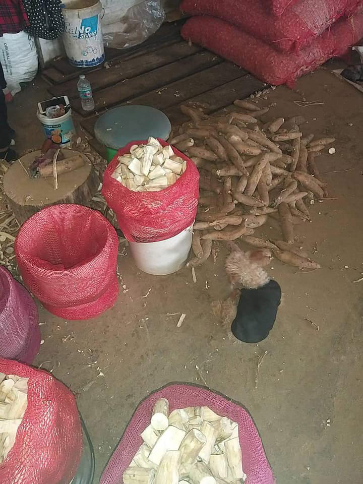 กระเทียมเจียวมันสำปะหลัง กระเทียมเจียวมันสำปะหลัง