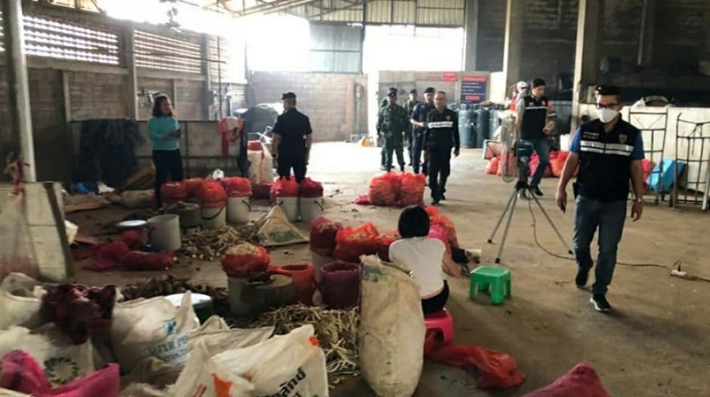 กระเทียมเจียวมันสำปะหลัง กระเทียมเจียวมันสำปะหลัง