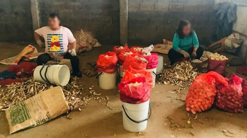 กระเทียมเจียวมันสำปะหลัง กระเทียมเจียวมันสำปะหลัง