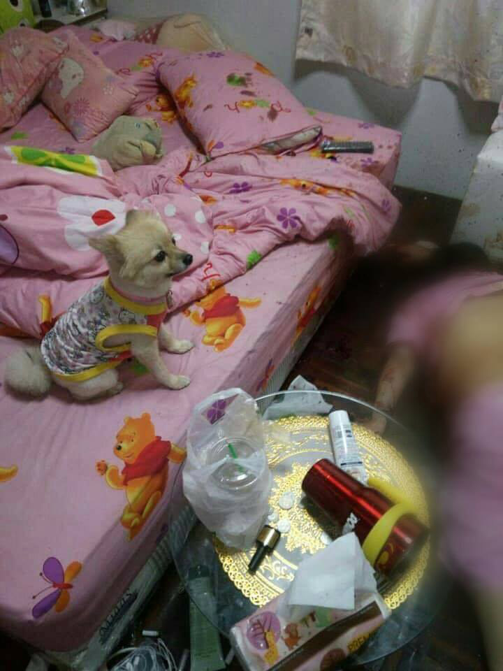 พ่อเลี้ยงฆ่าลูกเลี้ยง พ่อเลี้ยงฆ่าลูกเลี้ยง