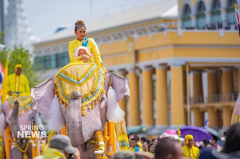 หมอพลาย ลาดทองแท้ หมอพลาย ลาดทองแท้