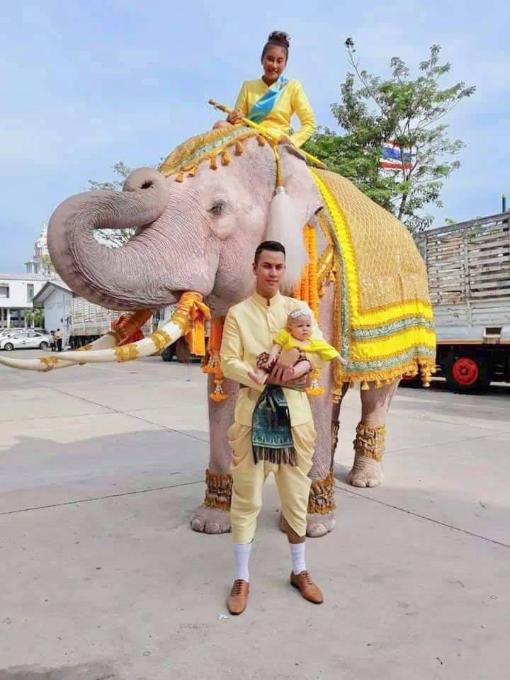 หมอพลาย ลาดทองแท้ หมอพลาย ลาดทองแท้