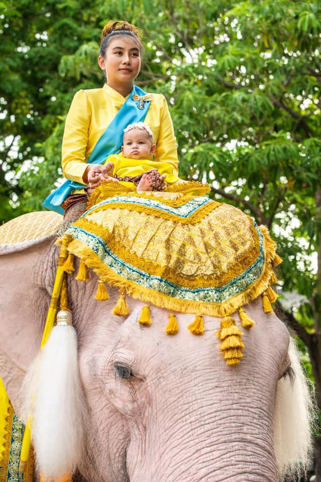 หมอพลาย ลาดทองแท้ หมอพลาย ลาดทองแท้