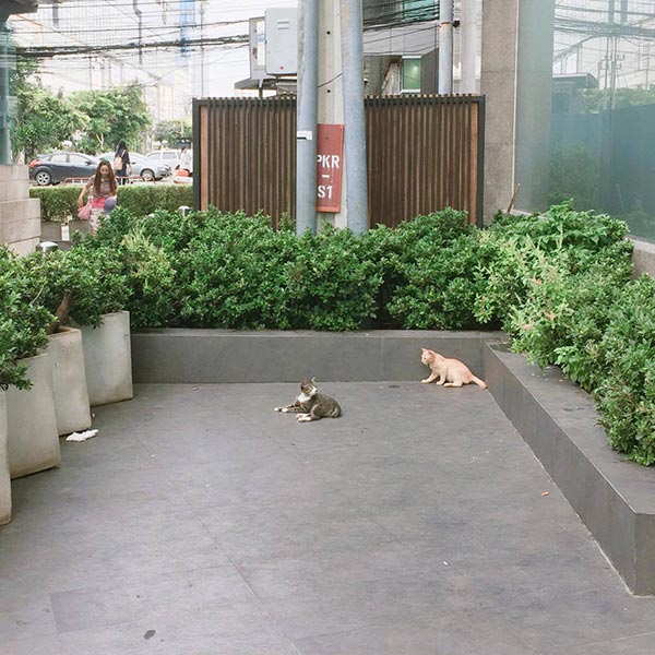 ลุงเล็ก ลุงเล็ก