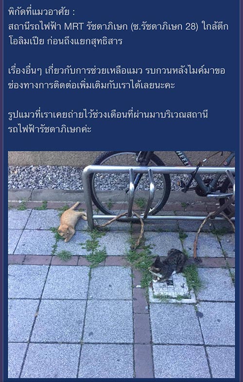 ลุงเล็ก ลุงเล็ก