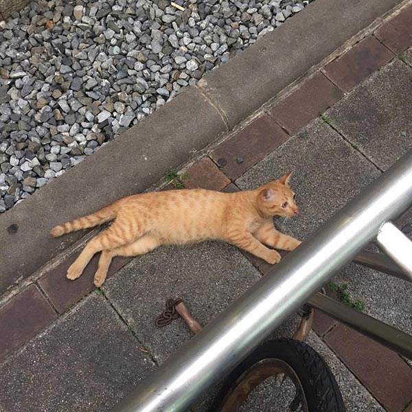 ลุงเล็ก ลุงเล็ก