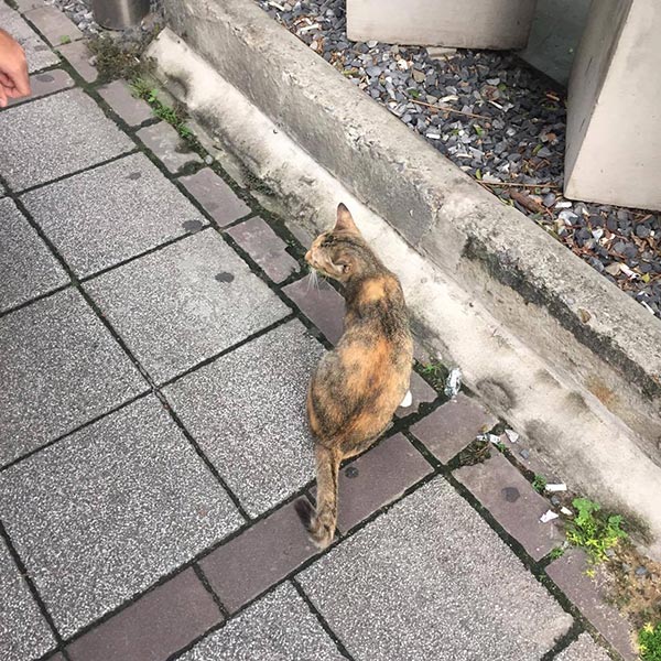 ลุงเล็ก ลุงเล็ก