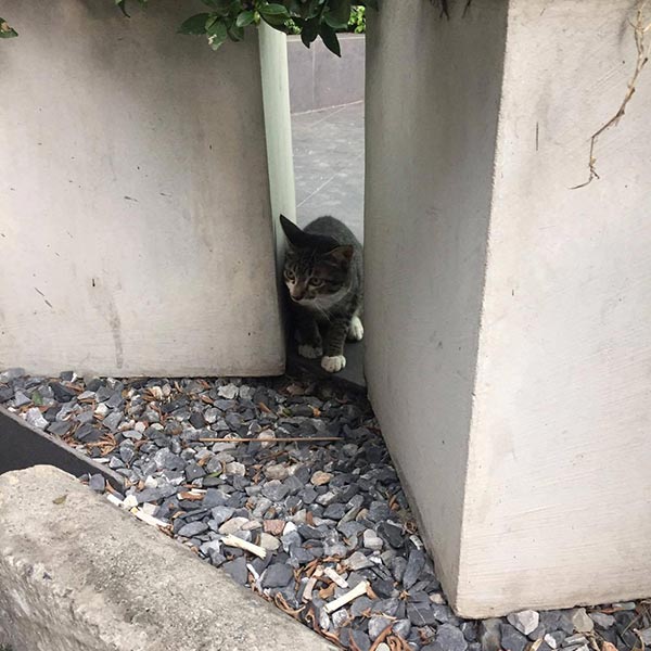 ลุงเล็ก ลุงเล็ก