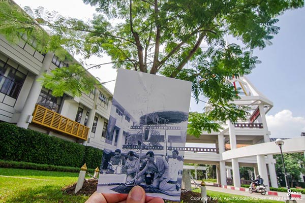 ในหลวง ในหลวง