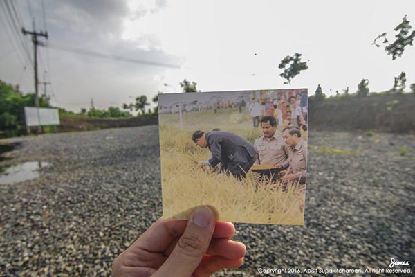 ในหลวง ในหลวง