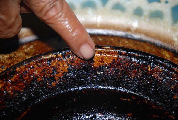 รักษาแมงกินฟัน รักษาแมงกินฟัน