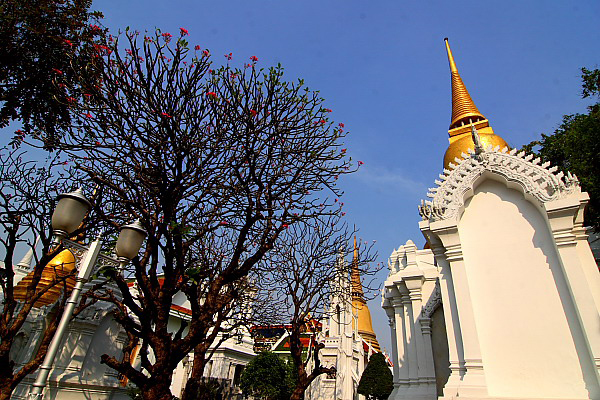 สุสานหลวง สุสานหลวง