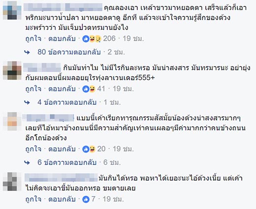 ด้วงมะพร้างแช่น้ำปลา ด้วงมะพร้างแช่น้ำปลา