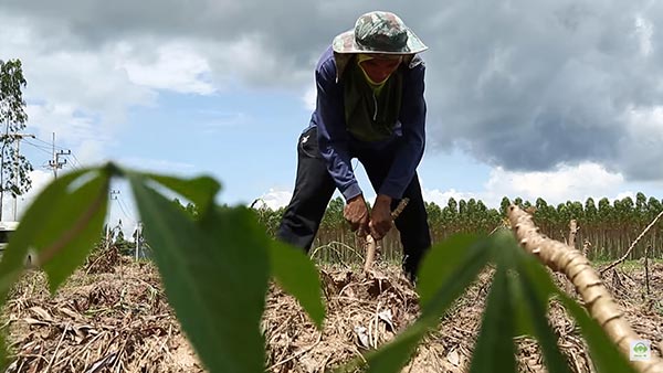 แหลม เด็กสู้ชีวิต แหลม เด็กสู้ชีวิต