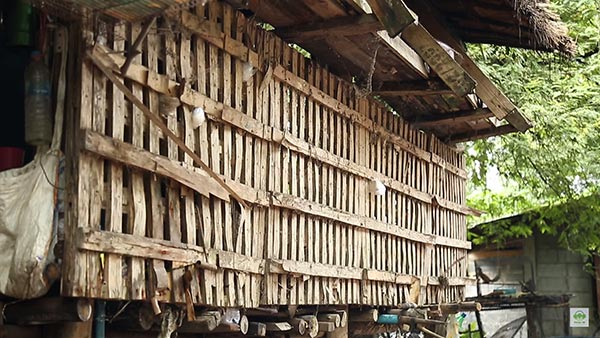 แหลม เด็กสู้ชีวิต แหลม เด็กสู้ชีวิต