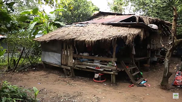 แหลม เด็กสู้ชีวิต แหลม เด็กสู้ชีวิต