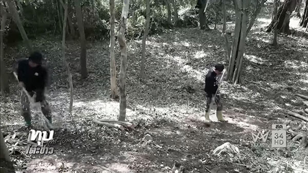 พิธีตัดไม้จันทร์หอม พิธีตัดไม้จันทร์หอม