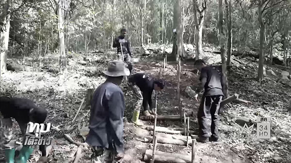 พิธีตัดไม้จันทร์หอม พิธีตัดไม้จันทร์หอม