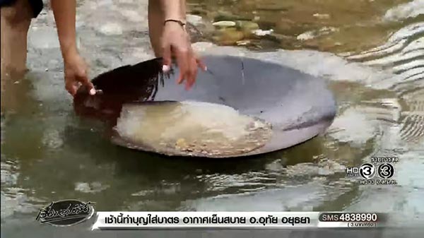 ร่อนทอง บางสะพาน ร่อนทอง บางสะพาน