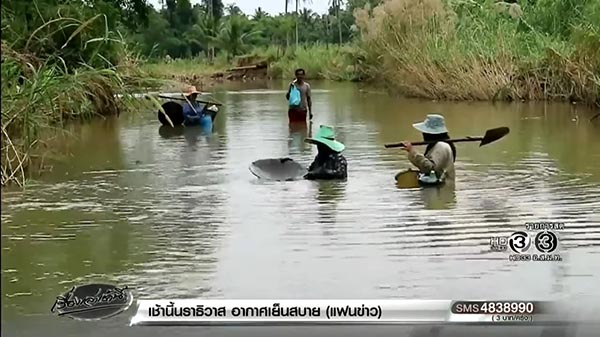 ร่อนทอง บางสะพาน ร่อนทอง บางสะพาน