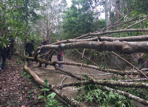 วัดธรรมกาย วัดธรรมกาย