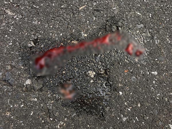 รถชนแมวดาว รถชนแมวดาว